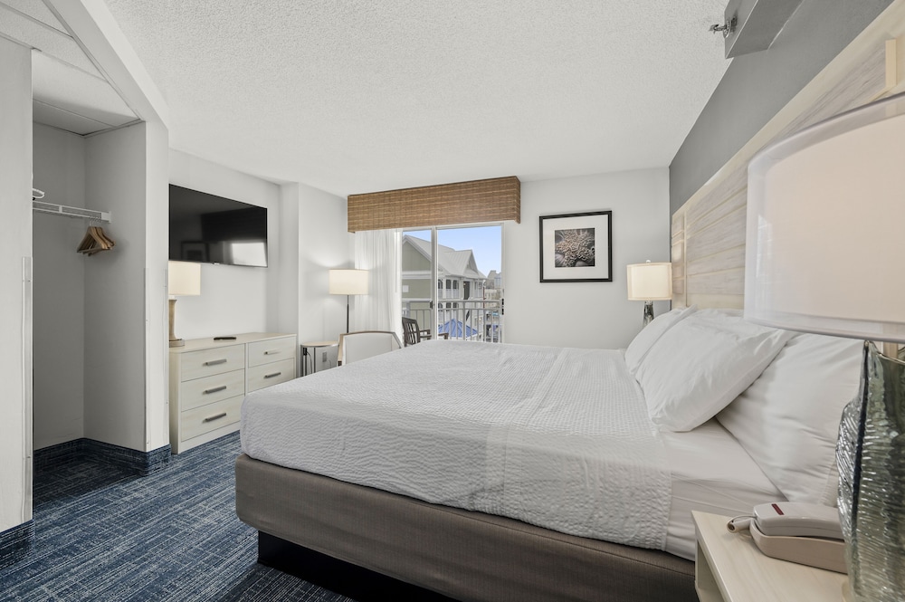 Single Room, 1 King Bed, Non Smoking, City View photo 1