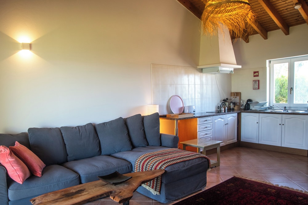 Superior Apartment, 1 Bedroom, Mountain View