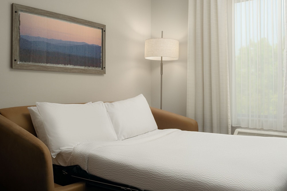Suite, 1 King Bed with Sofa bed (Hearing Accessible) photo 2