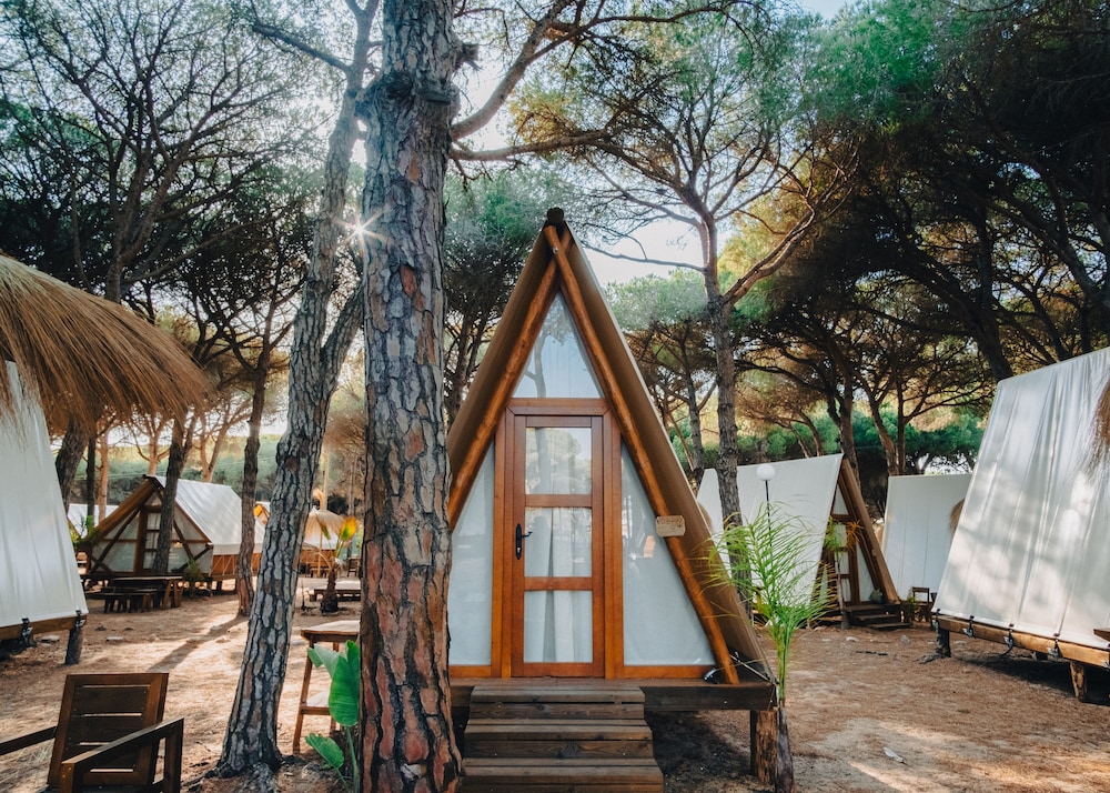 Standard Tent