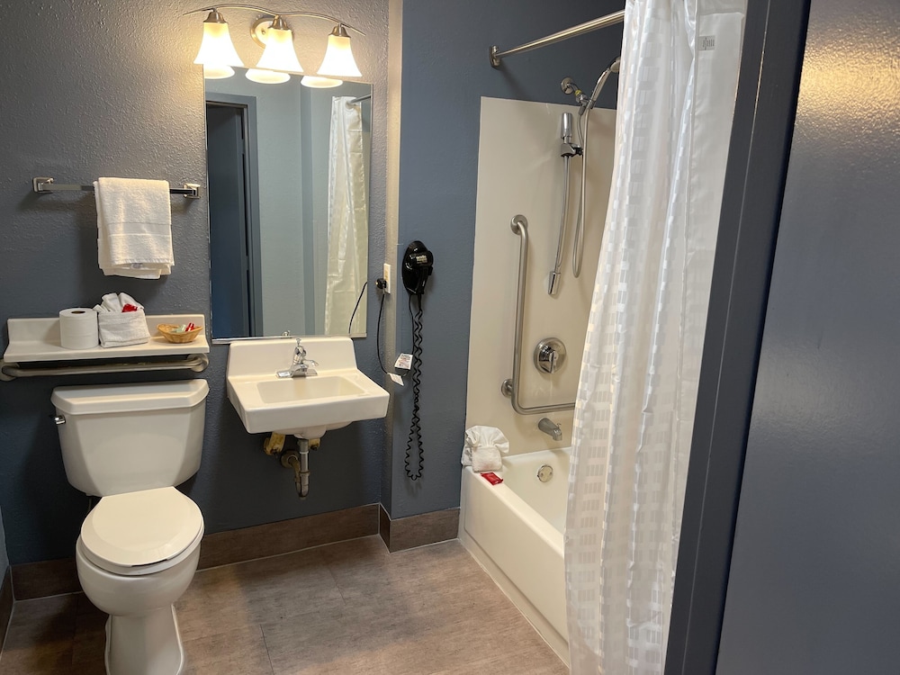 Standard Room, 1 King Bed, Accessible, Refrigerator & Microwave - Photo 11