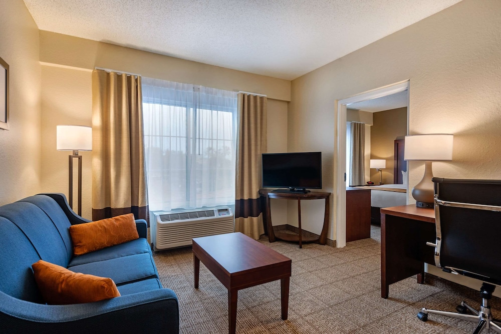 Suite, 1 King Bed with Sofa bed, Accessible, Non Smoking (Efficiency)