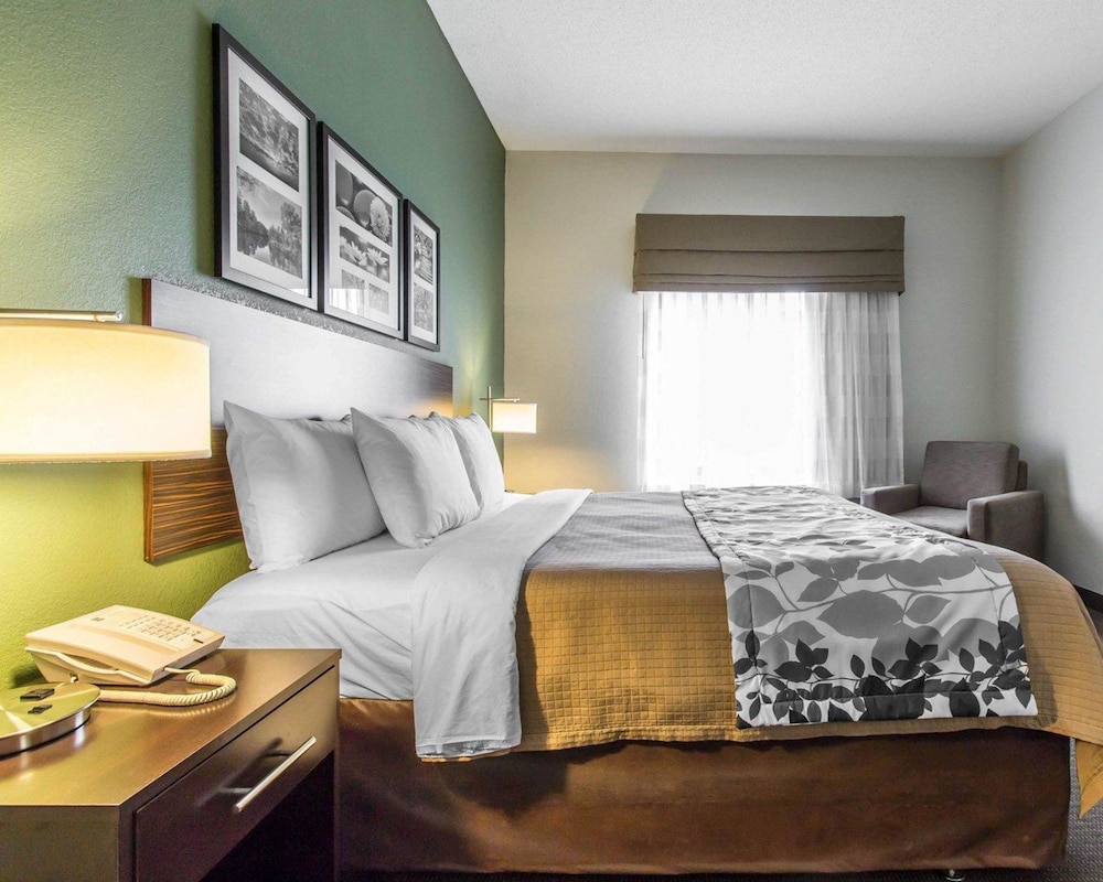 Suite, 1 King Bed - Photo 9