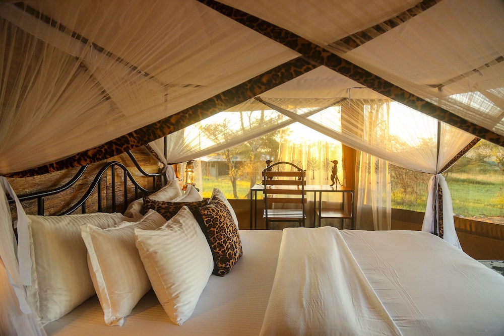 Luxury Double or Twin Room photo 1