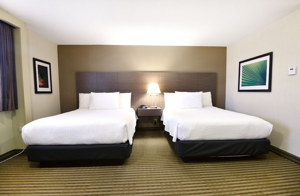 Deluxe Room, 2 Queen Beds