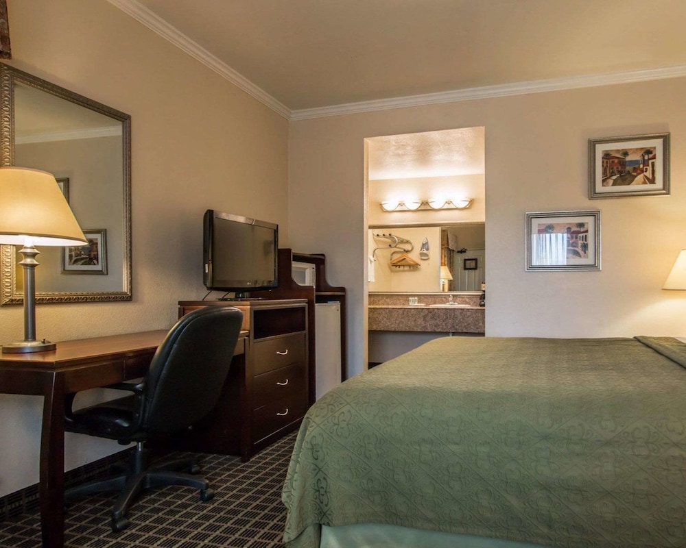 Suite, 1 Queen Bed with Sofa bed, Non Smoking - Photo 1