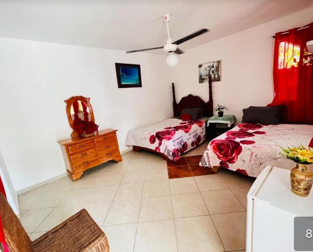 City Double or Twin Room photo 3