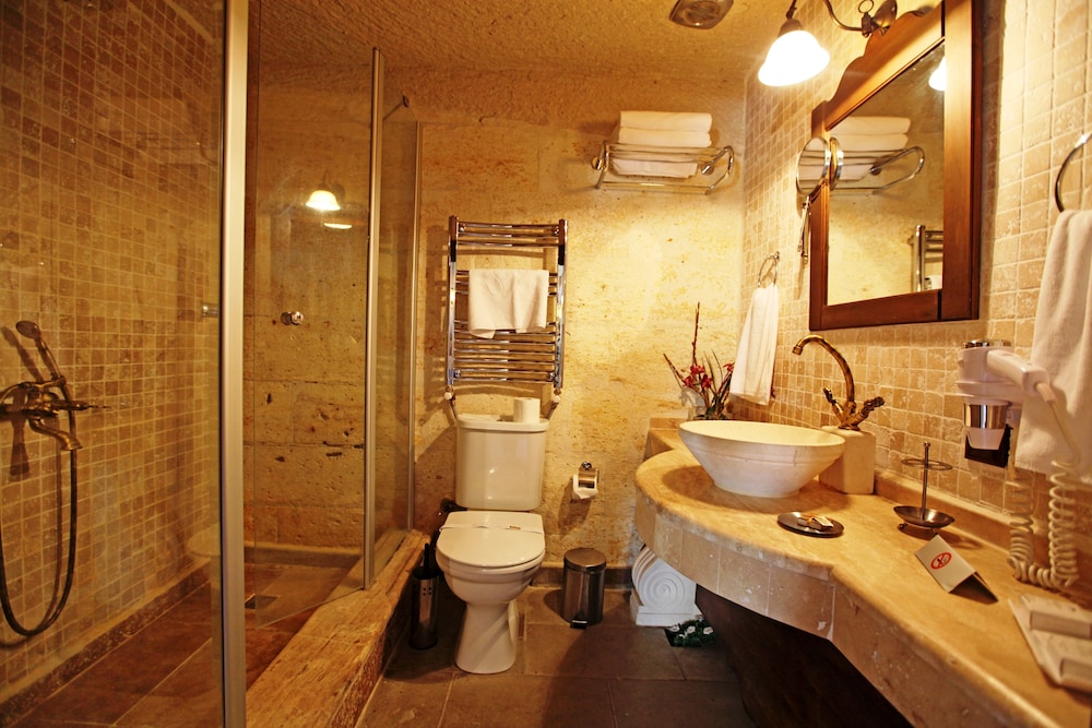 Deluxe Room - Photo 7