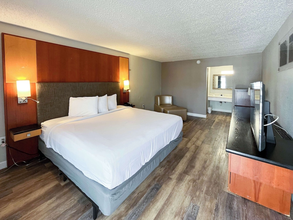 Deluxe Room, 1 King Bed, Non Smoking, Refrigerator & Microwave photo 3