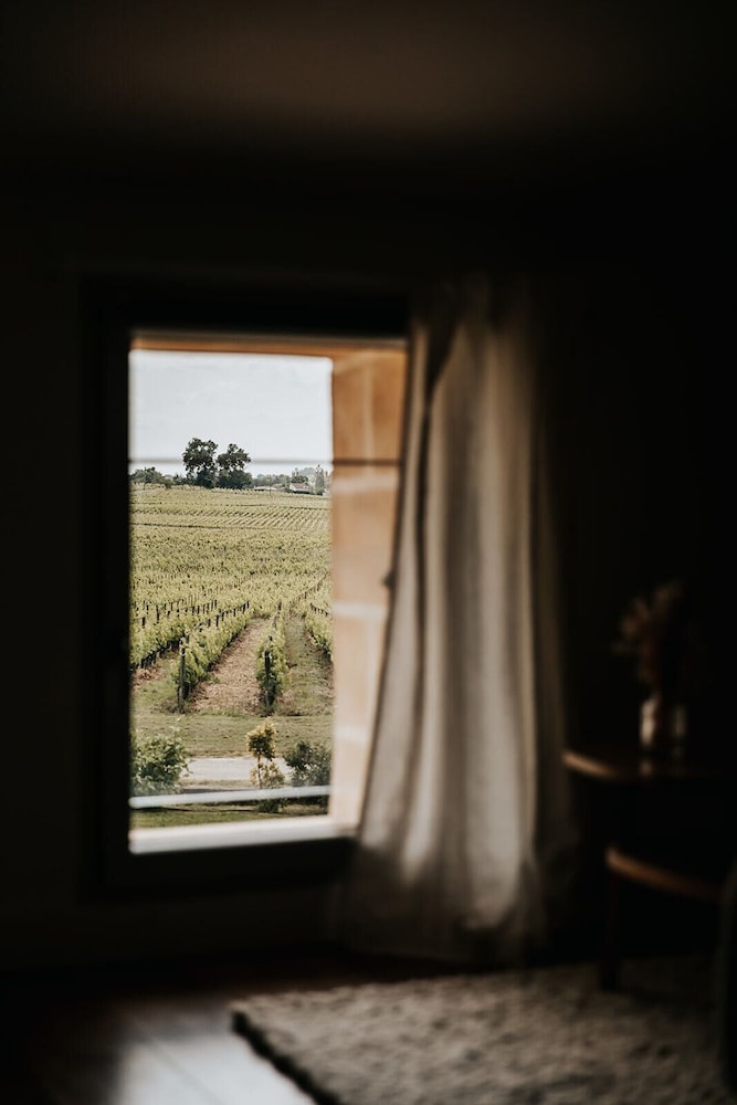 Suite, Ensuite, Vineyard View (La Douce) photo 2