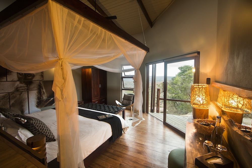 Room (Safari 5) photo 3