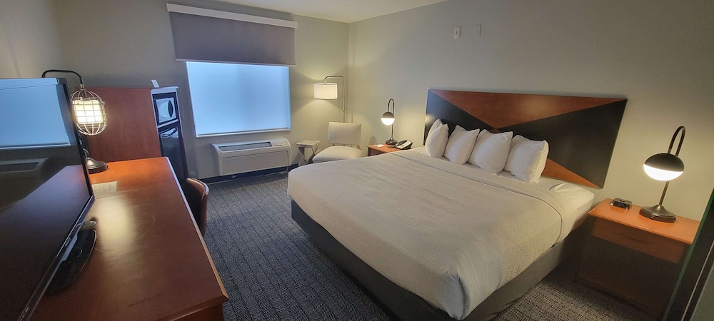 Standard Room, 1 King Bed, Accessible, Refrigerator & Microwave - Photo 1