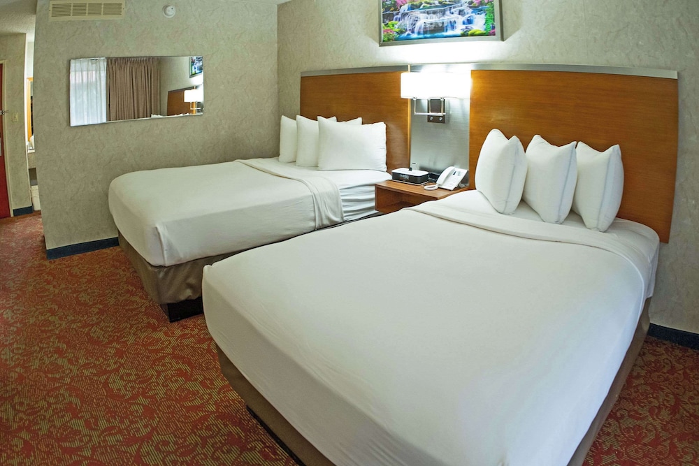 Standard Room, Multiple Beds, Non Smoking photo 1