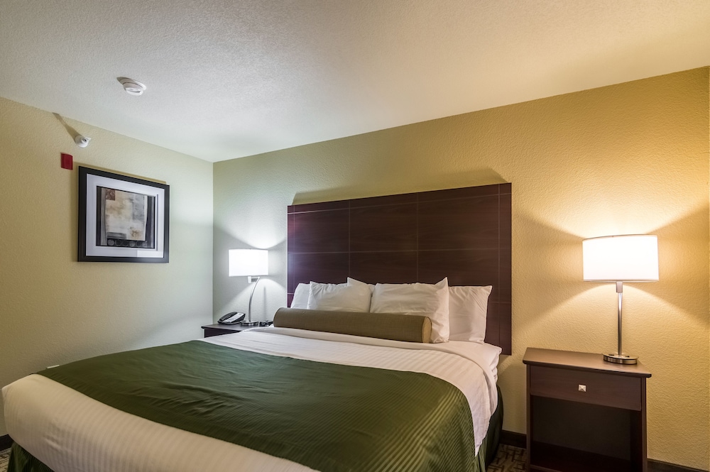 Room, 1 King Bed, Non Smoking photo 2