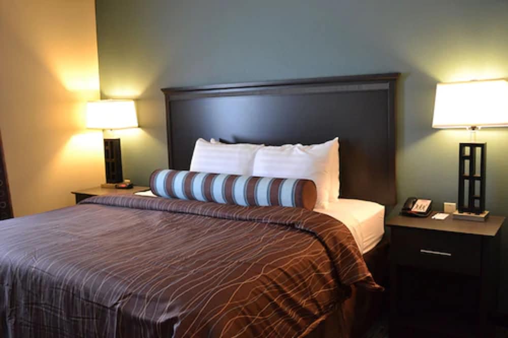 Studio Suite, 1 King Bed photo 1