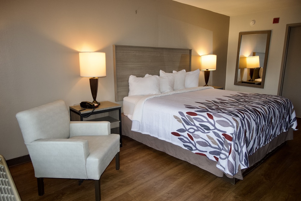 Deluxe Room, 1 King Bed, Accessible, Non Smoking (Roll-in Shower) - Photo 1