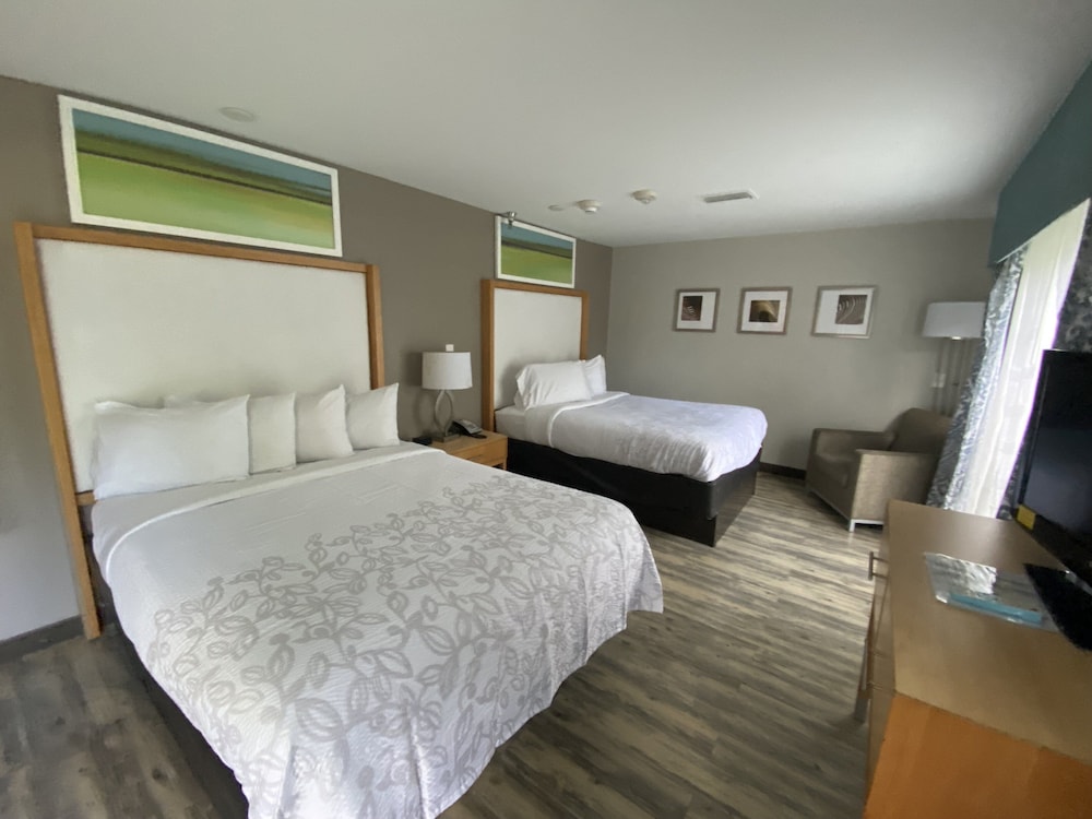 Superior Suite, 2 Queen Beds, Accessible (Smoke Free, Roll-In Shower) - Photo 2