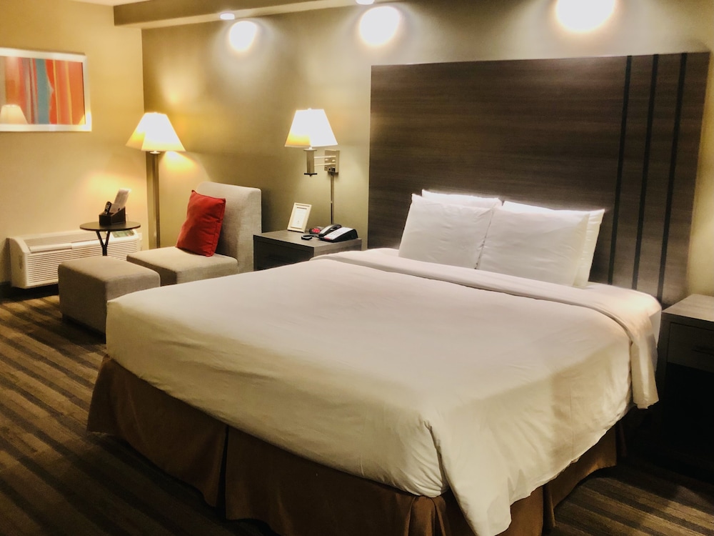 Deluxe Room, 1 King Bed, Non Smoking photo 2