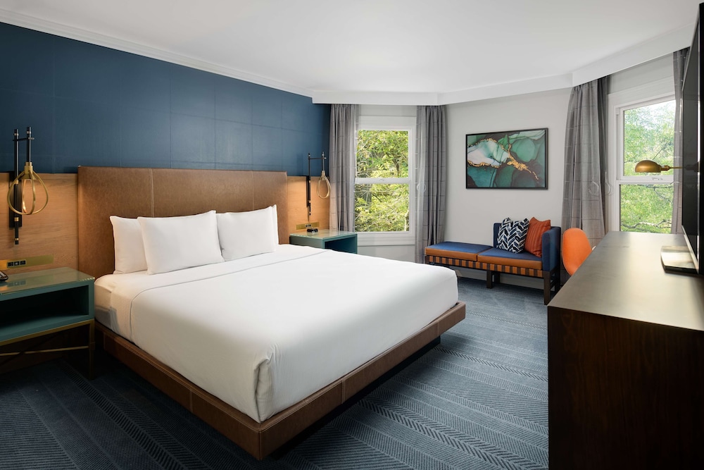 Room, 1 King Bed, Accessible (Roll-In Shower) - Photo 7