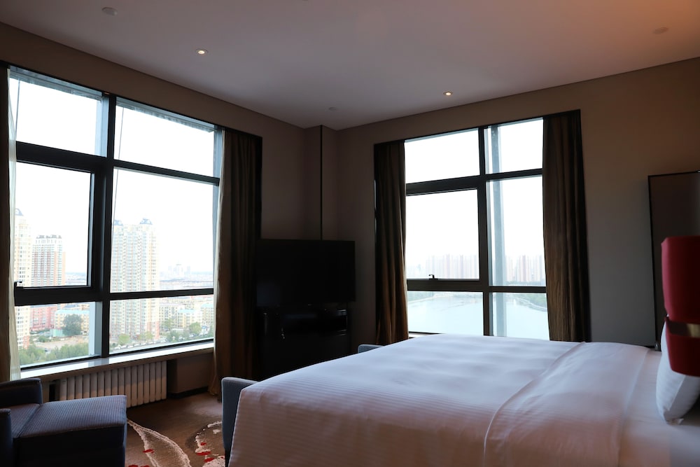 Executive Suite photo 2