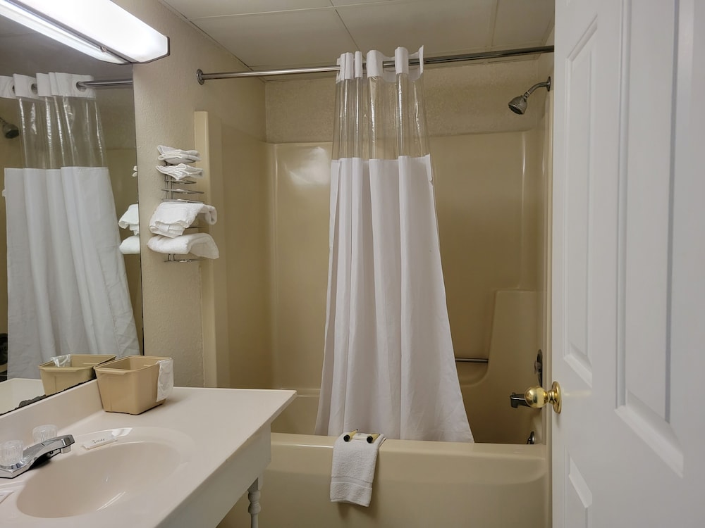 Deluxe Room photo 3