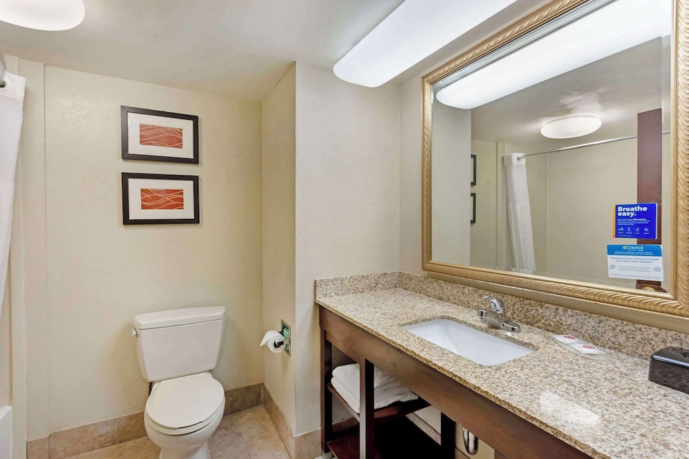 Suite, 1 King Bed with Sofa bed, Accessible, Non Smoking (Efficiency) - Photo 4