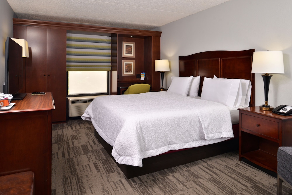 Comfort Room, 1 King Bed photo 3