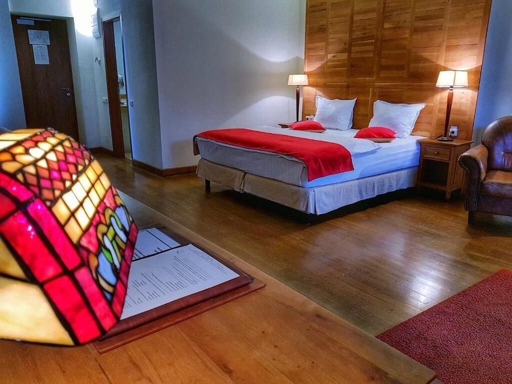 Deluxe Room - Photo 8