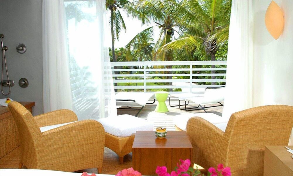 Jungles Suite