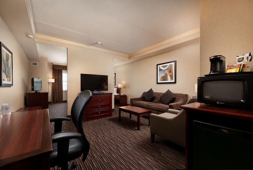 Standard Room, 1 King Bed, Non Smoking, Refrigerator & Microwave (with Sofabed) - Photo 1