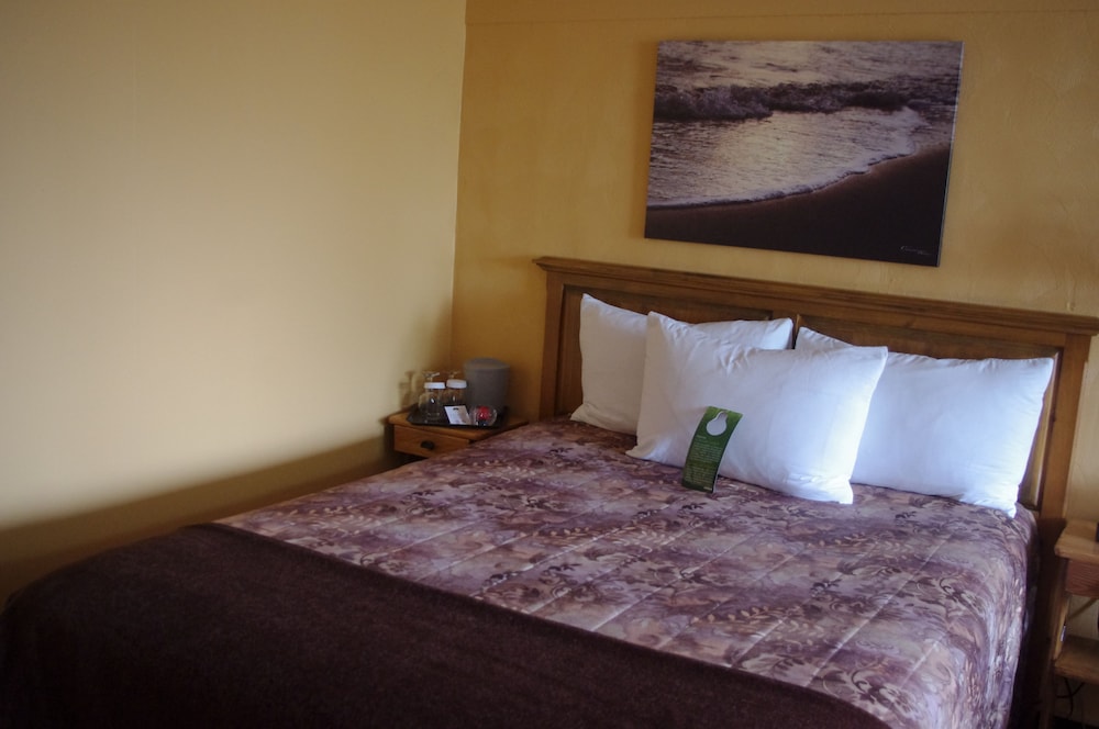 Standard Room, 1 Queen Bed photo 3