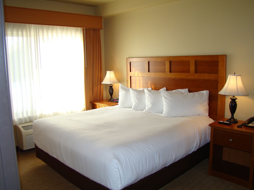 Deluxe Room, 1 King Bed with Sofa bed, Kitchen (1 Bedroom King Full Kitchen)