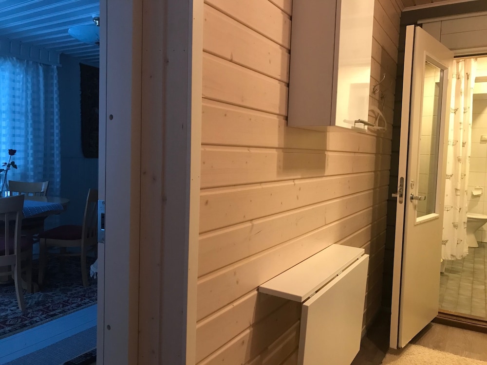 Apartment, 1 Bedroom, Sauna photo 3