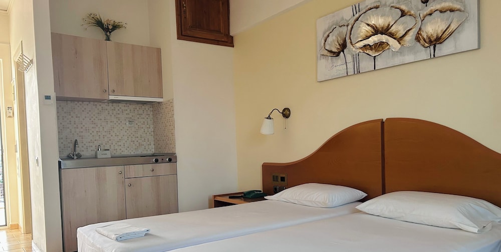 Double or Twin Room, 1 Bedroom photo 3