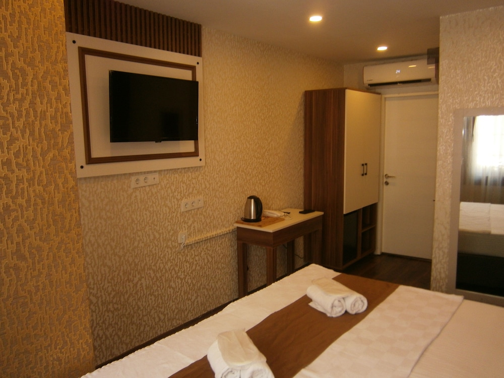 Deluxe Double or Twin Room photo 2