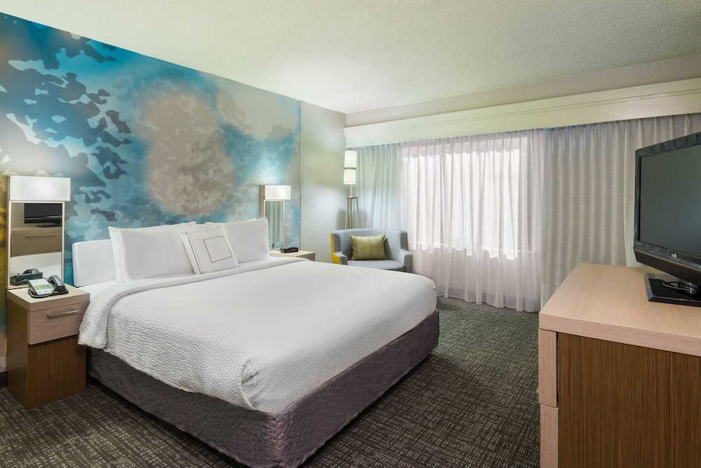 Suite, 1 King Bed with Sofa bed photo 3