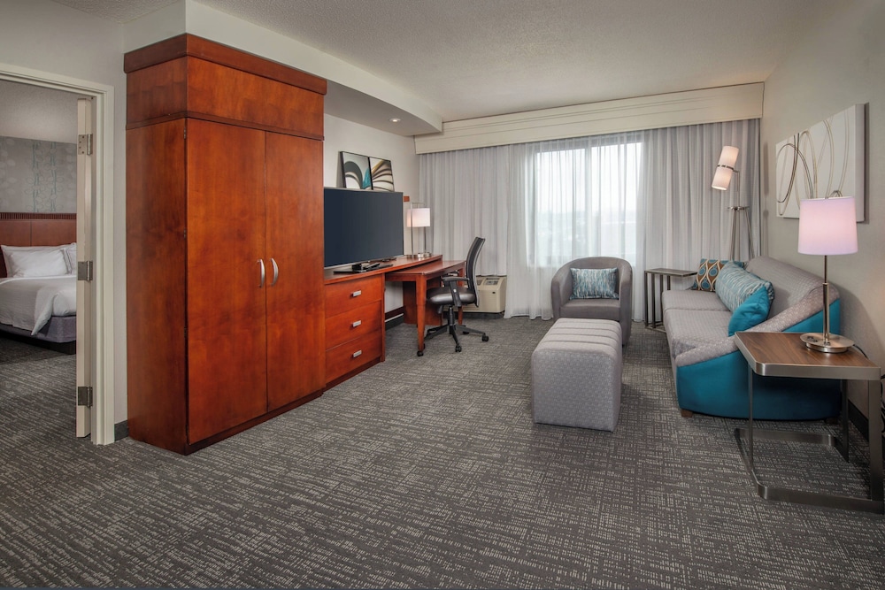 Suite, 1 King Bed with Sofa bed