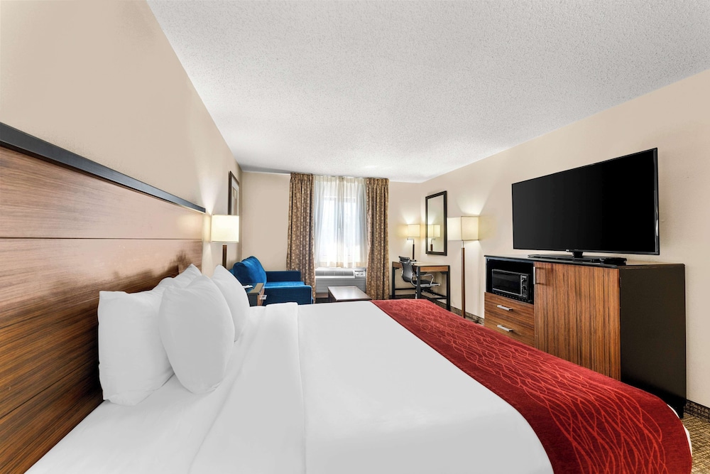 Standard Room, 1 King Bed, Non Smoking, Refrigerator & Microwave (with Sofabed) - Photo 5