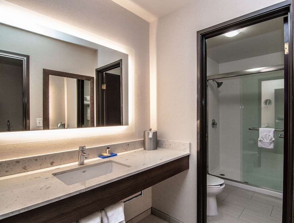 Suite, 1 King Bed, Balcony, City View - Photo 3