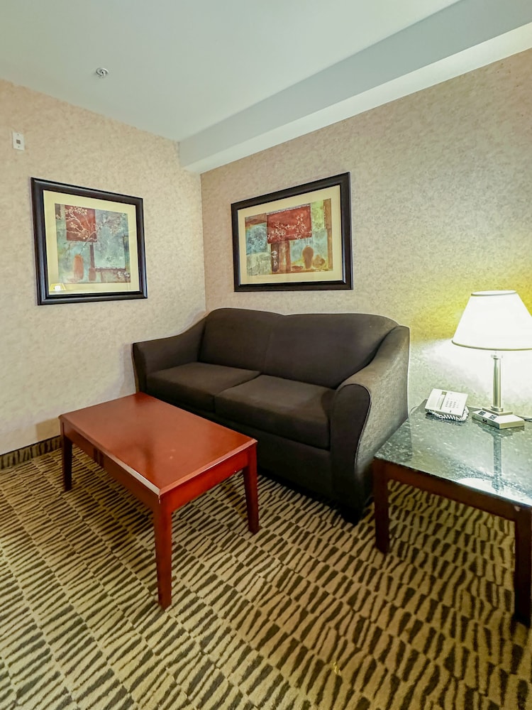 Executive Room, 1 King Bed with Sofa bed, Non Smoking - Photo 3