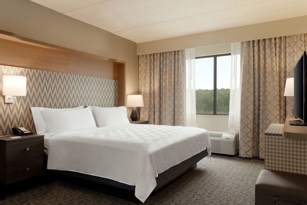 Suite, 1 King Bed - Photo 4