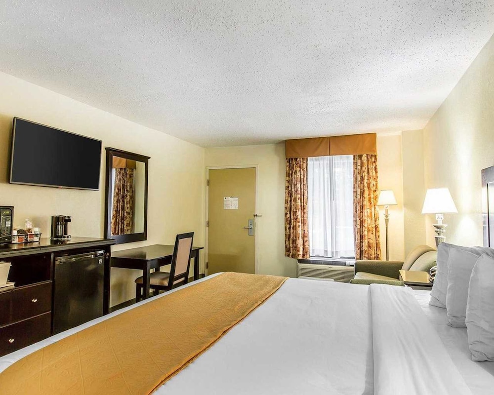 Room, 1 King Bed with Sofa bed, Accessible, Non Smoking photo 2