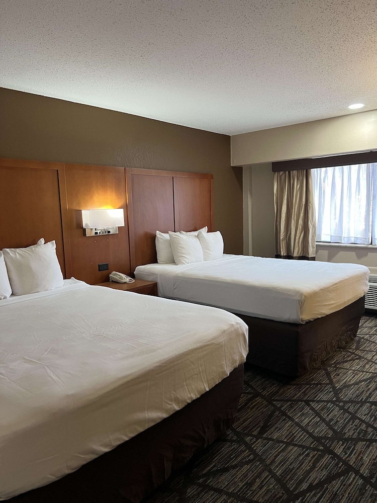 Standard Room, 2 Queen Beds, Non Smoking, Refrigerator & Microwave - Photo 1