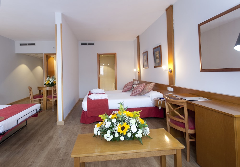Double Room Single Use (with living area)