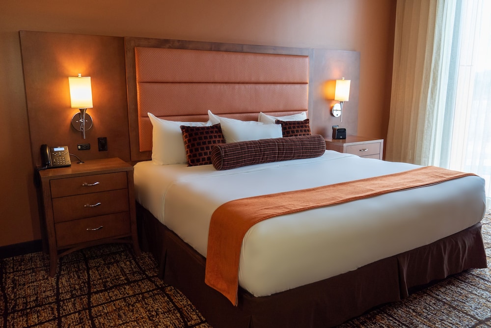 Room, 1 King Bed photo 2