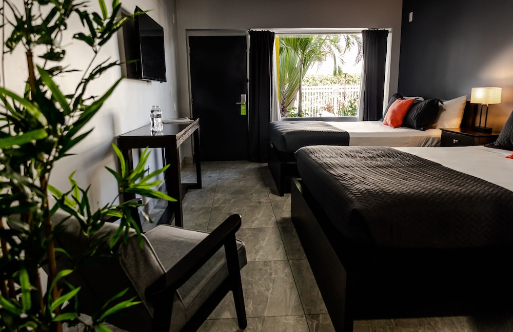 Quadruple Room, 2 Double Beds photo 3