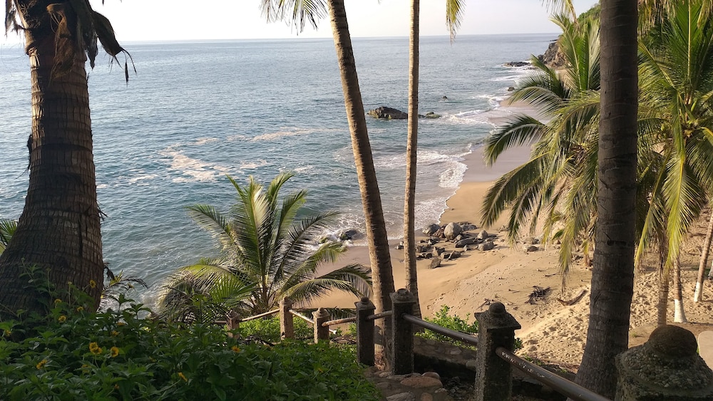 Classic Studio Suite, Beach View photo 3