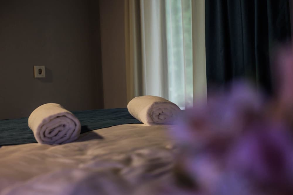Deluxe Double Room, Terrace photo 3