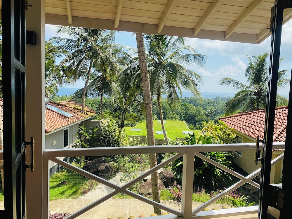 Deluxe Room with Jungle and Ocean view photo 3