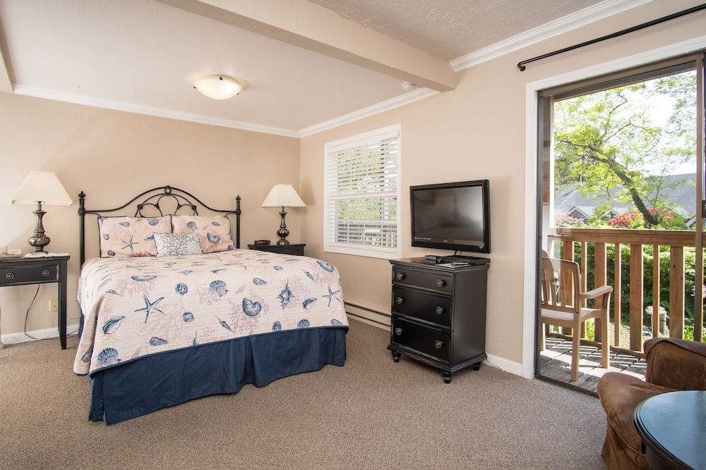 Room, 1 Queen Bed (Pet Friendly) photo 1